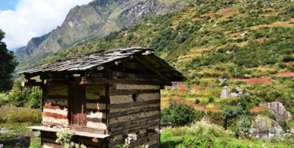 Osla Village