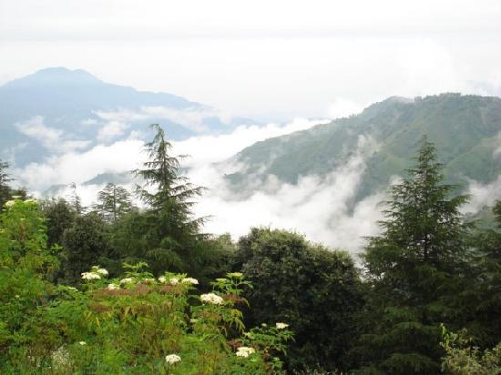 Chail, Shimla