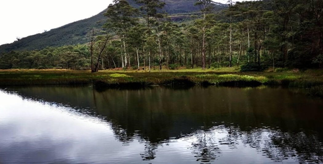 Sita Devi Lake, Munnar