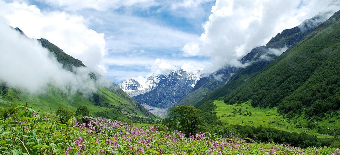 Valley of Flowers