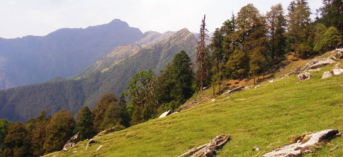 Chopta View