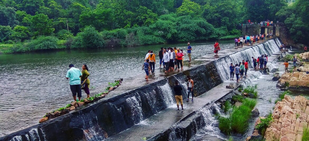 Harnav Dam, Poloforest