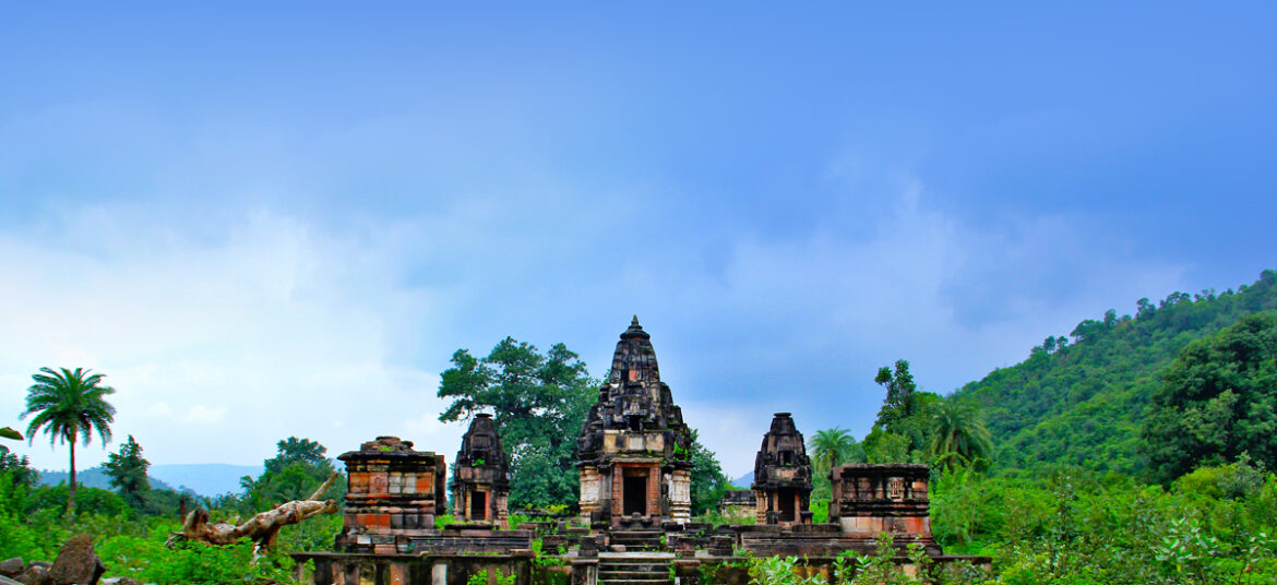 Jain Temples,Polo Forest